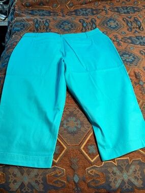 Bright Teal Cropped Pants